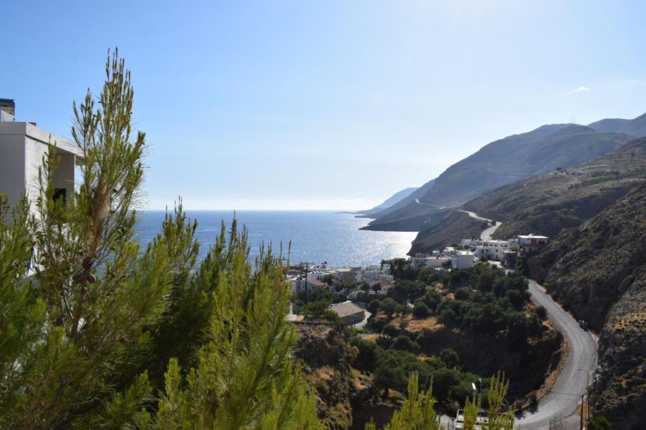 Mesohori Studios Sfakia Buitenkant foto